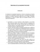 La nueva Naturaleza de la propiedad horizontal