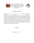 CONSTANCIA DE VALIDACIÓN