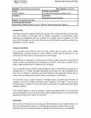 Reporte de lectura de libro Desde mi celo