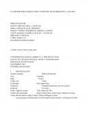 EL INFORME PSICOLÓGICO UN MÉTODO DE INFORMACIÓN Y ANÁLISIS