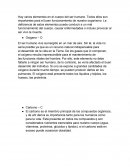 Elementos en el cuerpo del ser humano
