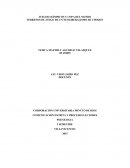 TERRENOS DE JUEGO DE UN NEOLIBERALISMO DE CHOQUE