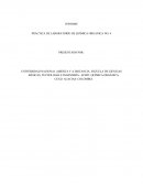 PRÁCTICA DE LABORATORIO DE QUÍMICA ORGÁNICA NO. 4