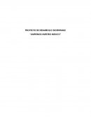 PROYECTO DE DESARROLLO SUSTENTABLE “LIMPIEMOS NUESTRO MEXICO”