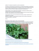 Exportación, importación y comercio compensatorio