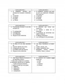 Actividad practica de lengua castellana