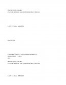 PROYECTO DE GRADO PLAN DE NEGOCIO “LACTEOS FRESCURA Y RICURA”