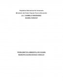 CUAL ES LA PROBLEMÁTICA AMBIENTAL RIO GUAMA MUNICIPIO SUCRE-ESTADO YARACUY