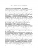 Ejemplo de Un pavo real en el reino de los pinguinos