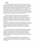 Analogia Biologia 1 etapa 3