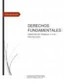 DERECHO DEL TRABAJO INFORME