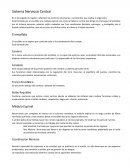 LOS SISTEMAS DEL CUERPO