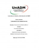 El impacto del Proceso Administrativo