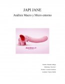 Análisis Macro y Micro entorno