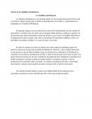 Ensayo de la república marihuanera