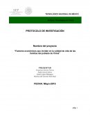 Factores económicos que inciden en la calidad de vida de las familias del poblado de chiná