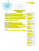 Plan de negocios.Oportunidad de Mercado