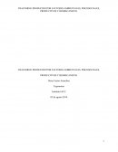 TRASTORNO PRODUCIDO POR FACTORES AMBIENTALES, PSICOSOCIALES, PRODUCTIVOS Y BIOMECANICOS.
