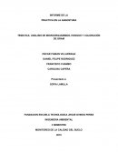 ANALISIS DE MICROORGANISMOS, HONGOS Y COLORACIÓN DE GRAM