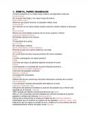 ÓRBITA, PARES CRANEALES