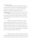 ESTANDARES DE CALIDAD.es donde las empresas pueden controlar la calidad de las decenas, cientos, miles y millones de momentos de verdad