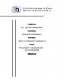 ENSAYO PRODUCCION Y ORGANIZACION DE LOS NEGOCIOS