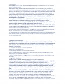 Plan Austral y Plan de Convertibilidad