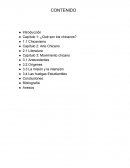 Pia Español 2 ¿Qué es un chicano?