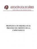 Mejoras al Proceso de Credito CNPR Panuco