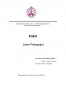 Ensayo Saber pedagogico