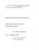 Sistemas de información analisis kinésico kinect