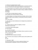 ¿Qué hay en los países del tercer mundo?