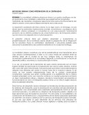 Movilidad Urbana como integradora de la centralidad