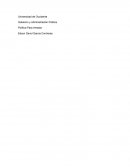 Politica para amador ensayo