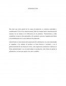 Costos de producción trabajo practico distri pulpa