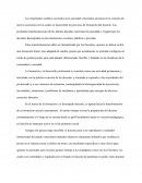 Ensayo formacion docente