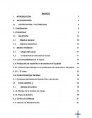 Este proyecto tiene como finalidad proporcionar información a cultivadores interesados en la producción de cacao en cuanto se refiere a la producción de cacao fino o de aroma.