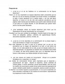 ¿Cuál es el rol de los fanáticos en la conformación de las figuras deportivas?