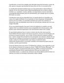 Constitución Terremoto