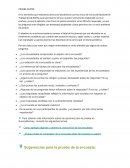 PRUEBA PILOTO. la entrevista