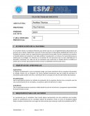 PLAN DE TRABAJO DOCENTE analisis tecnico