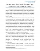 AUDITORIAS DE LA STPS