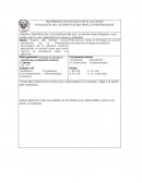EVALUACIÓN DE LOS DERECHOS QUE TIENE LOS PROFESIONALES