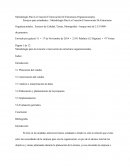 Metodología Para La Creación E Innovación De Estructuras Organizacionales