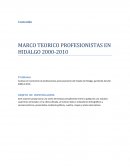 MARCO TEORICO PROFESIONISTAS EN HIDALGO 2000-2010