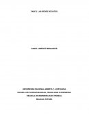 Redes Locales Basico_Direccionamiento IP