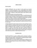 MODELOS CANVAS: RED DE ALIANZAS