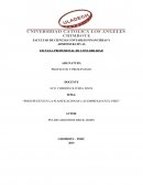 Presupuesto en la planificación de las empresas en el Peru