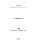 Maneras de cultivar el campo y experiencias propias vividas en el campo