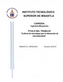 El cultivo de Microalgas para fabricar biodisel